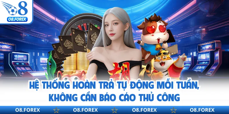 Hệ thống hoàn trả tự động mỗi tuần, không cần báo cáo thủ công