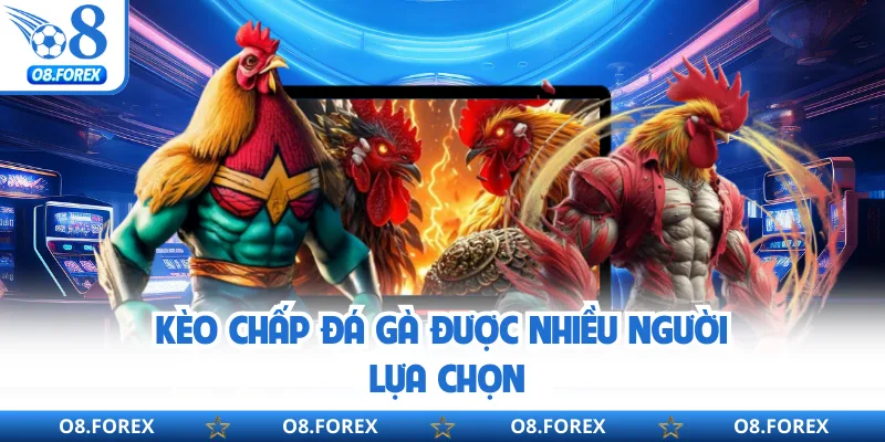 Kèo chấp đá gà được nhiều người lựa chọn