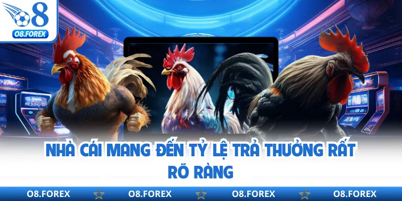 Nhà cái mang đến tỷ lệ trả thưởng rất rõ ràng